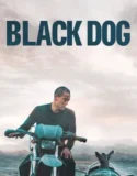 Film Online Black Dog (2024) Sub Indo