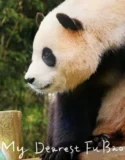 Film Online My Dearest Fu Bao (2024) Sub Indo